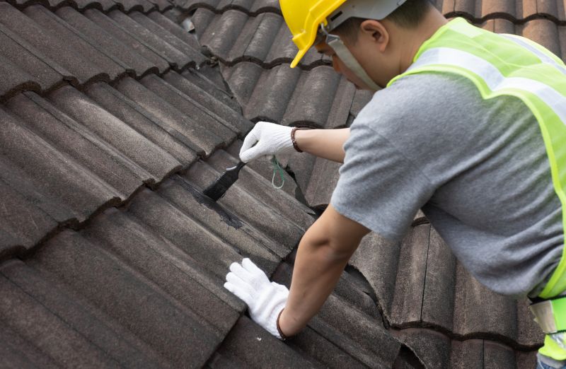 Roof Repair & Maintenance